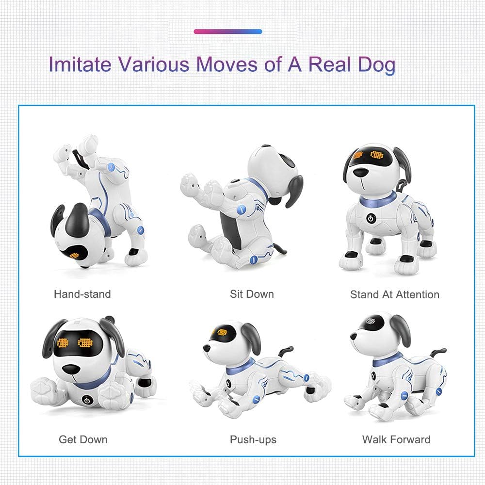 LE NENG TOYS K16A Fernbedienung Roboter Hund Elektronische Haustiere Stuntdog Spielzeug für Kinder