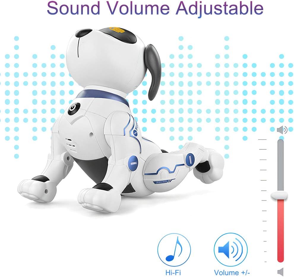 LE NENG TOYS K16A Fernbedienung Roboter Hund Elektronische Haustiere Stuntdog Spielzeug für Kinder