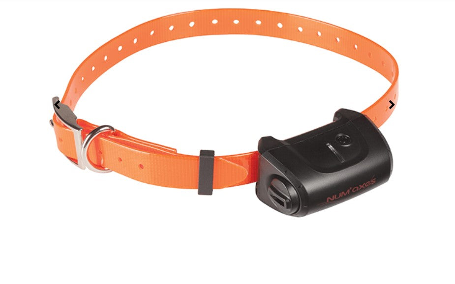 NUM'AXES - Canicom 5.1500