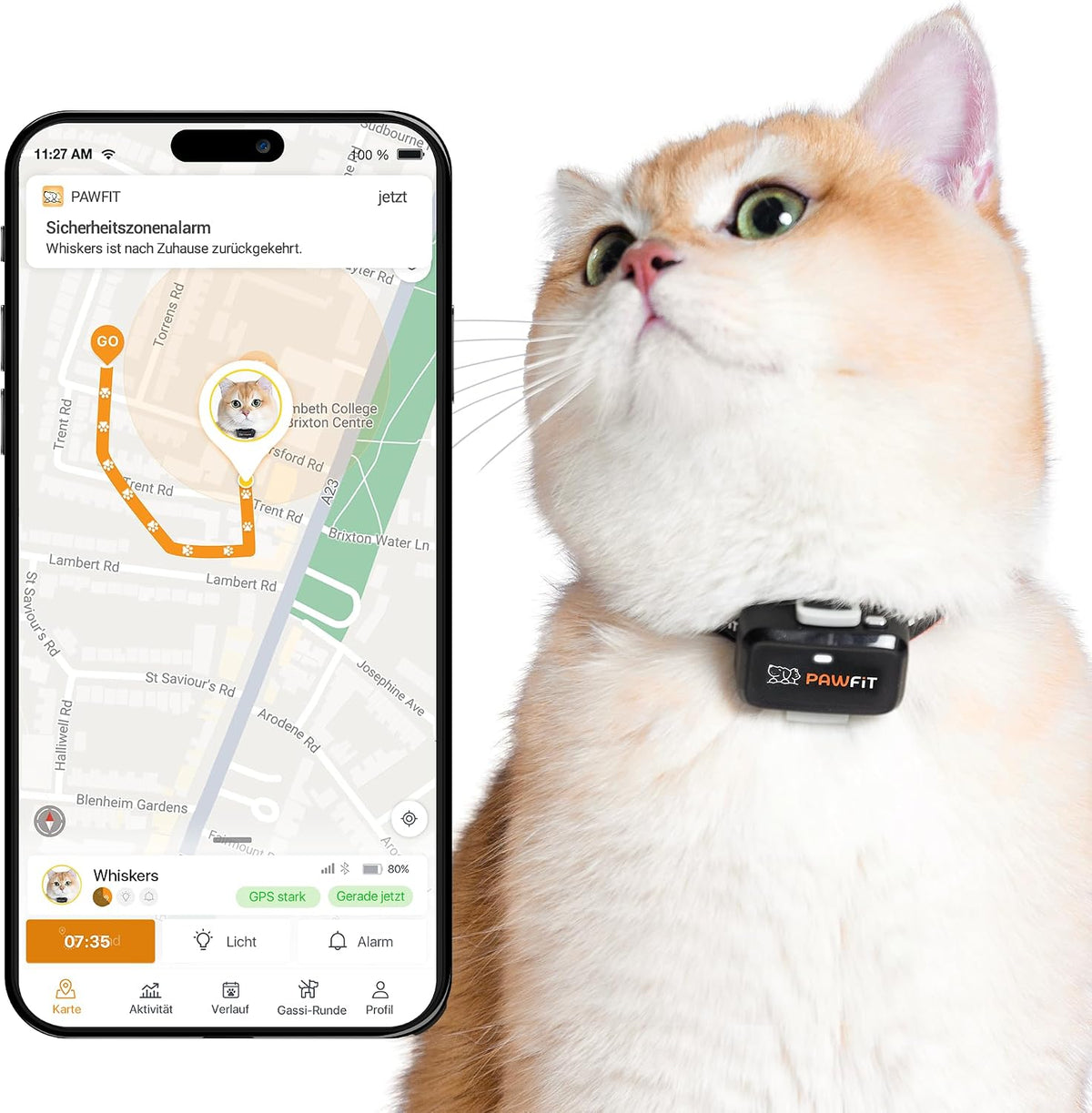 Pawfit Lite für Katzen 4G GPS-Tracker, Ultrakompakt <18g,Echtzeit-Tracking & Aktivität,Onyxschwarz