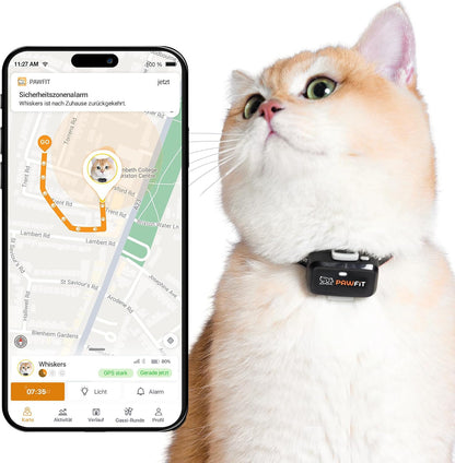 Pawfit Lite für Katzen 4G GPS-Tracker, Ultrakompakt <18g,Echtzeit-Tracking & Aktivität,Onyxschwarz