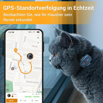Pawfit Lite für Katzen 4G GPS-Tracker, Ultrakompakt <18g,Echtzeit-Tracking & Aktivität,Onyxschwarz