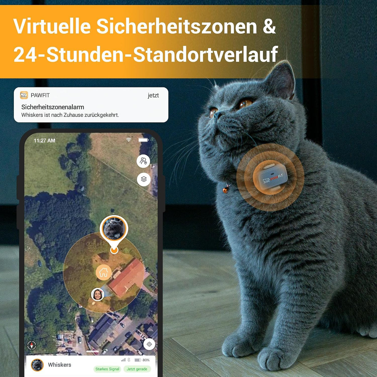 Pawfit Lite für Katzen 4G GPS-Tracker, Ultrakompakt <18g,Echtzeit-Tracking & Aktivität,Onyxschwarz