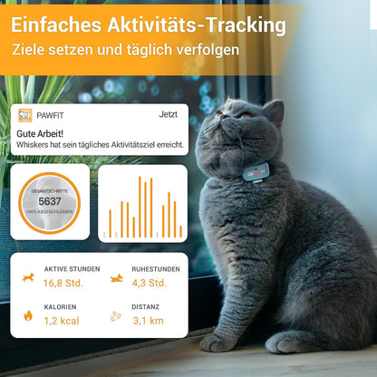 Pawfit Lite für Katzen 4G GPS-Tracker, Ultrakompakt <18g,Echtzeit-Tracking & Aktivität,Onyxschwarz
