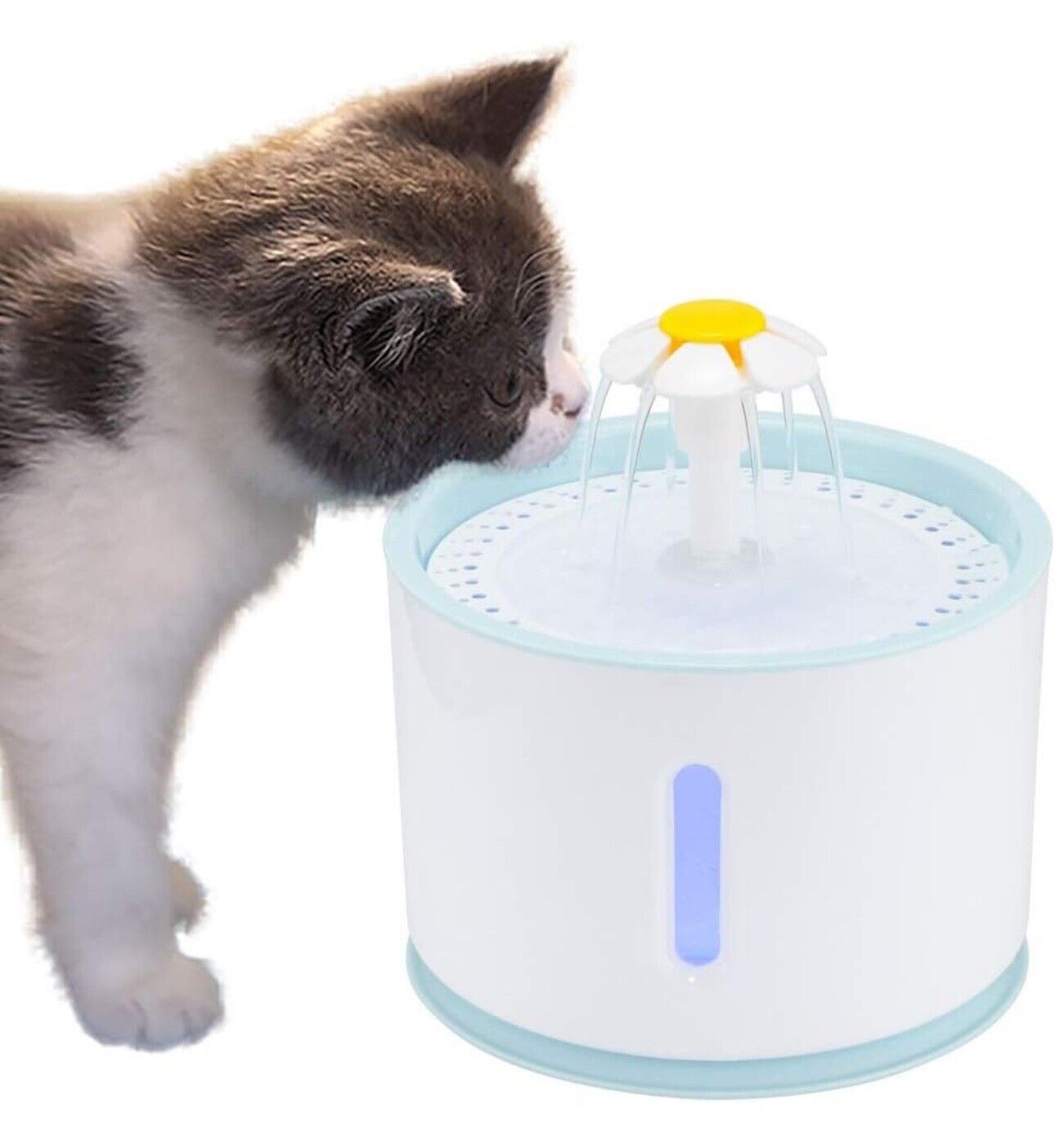 Peahog Haustier Electric Wasserbrunnen 2,4 l USB LED Automatik Katze Chien Dépensier
