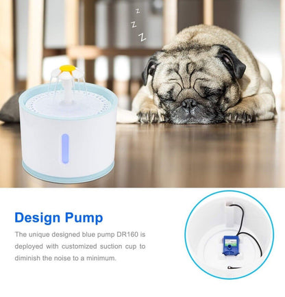 Peahog Haustier Electric Wasserbrunnen 2,4 l USB LED Automatik Katze Chien Dépensier