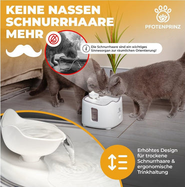 Pfotenprinz Katzenbrunnen Extra Leise & Ergonomischer 1.8L Trinkbrunnen