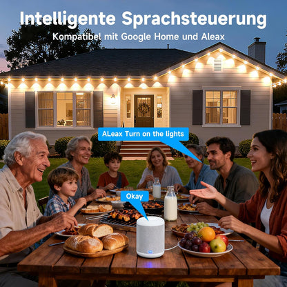 Ruisun Permanente Außenbeleuchte Lights RGBICW 2700-6000K LED Lichterketten mit App