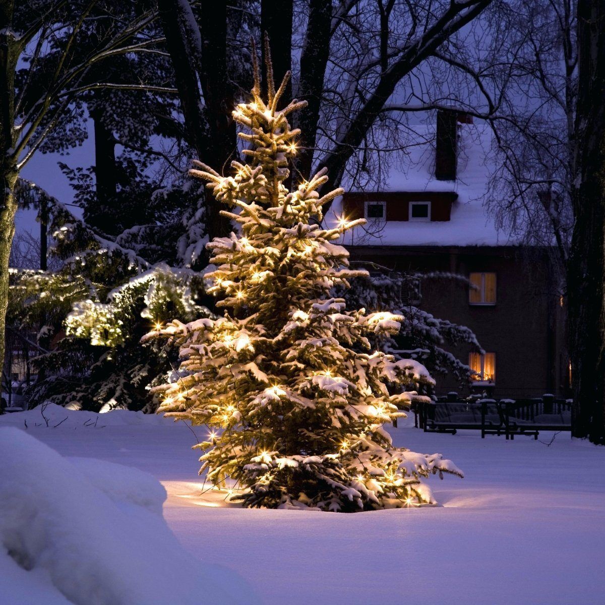 Smart 20 Meter C- Ware WLAN steuerbare Balkon-, Romantik-, Gartenfest- & Weihnachten Lichterkette innen + aussen funktioniert mit Alexa Google & Smartlife Christmas Light String indoor outdoor