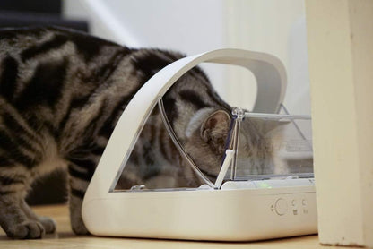 SureFeed Sure Petcare Mikrochip-Futterautomat für Nass- und Trockenfutter weiß