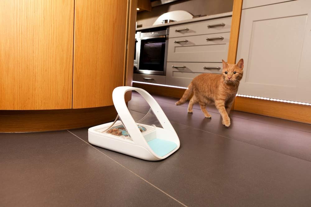 SureFeed Sure Petcare Mikrochip-Futterautomat für Nass- und Trockenfutter weiß