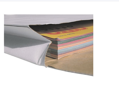 Steinmetz 50 Papierpolster-Versandtaschen, DIN B4, 140g, 25x35,3 cm (paquet de 50) 