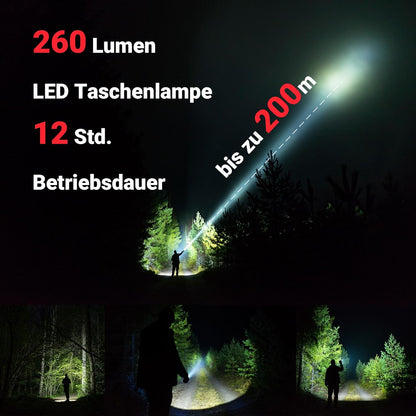 Starthilfe Powerbank avec Powerbank Jumpstarter, 12V-500A Spitzenstrom, 38,4Wh