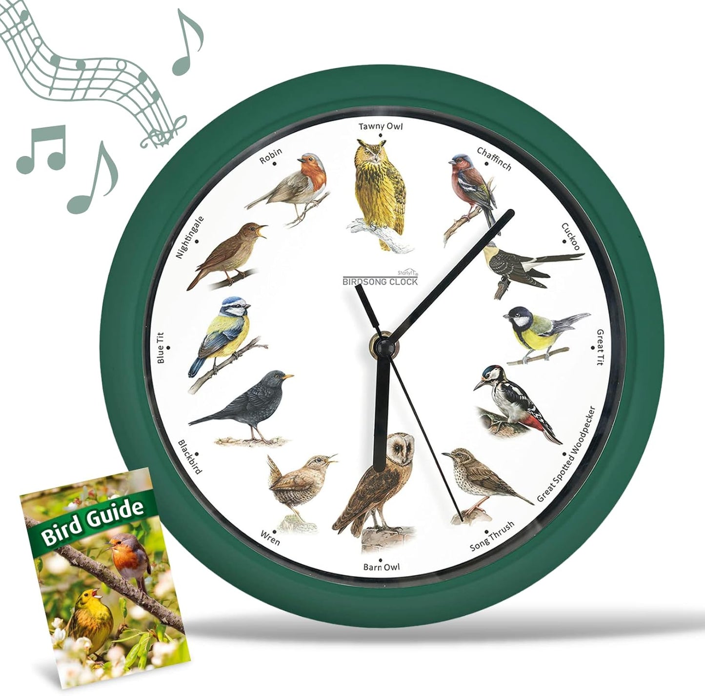 STARLYF Wanduhr mit Vogelstimmen mit echten Klängen von 12 verschiedenen Vögeln