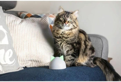SureFlap Hub, Katze, Grün, Weiß, Kunststoff, 1 Stück