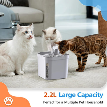 Trinkbrunnen für Katze, 67 oz/2L Edelstahl Haustier Katzenbrunnen, Ultraleiser Pump Katzen Wasserspender für Katzen, Hunde, Mehrere Haustiere (2.2L)