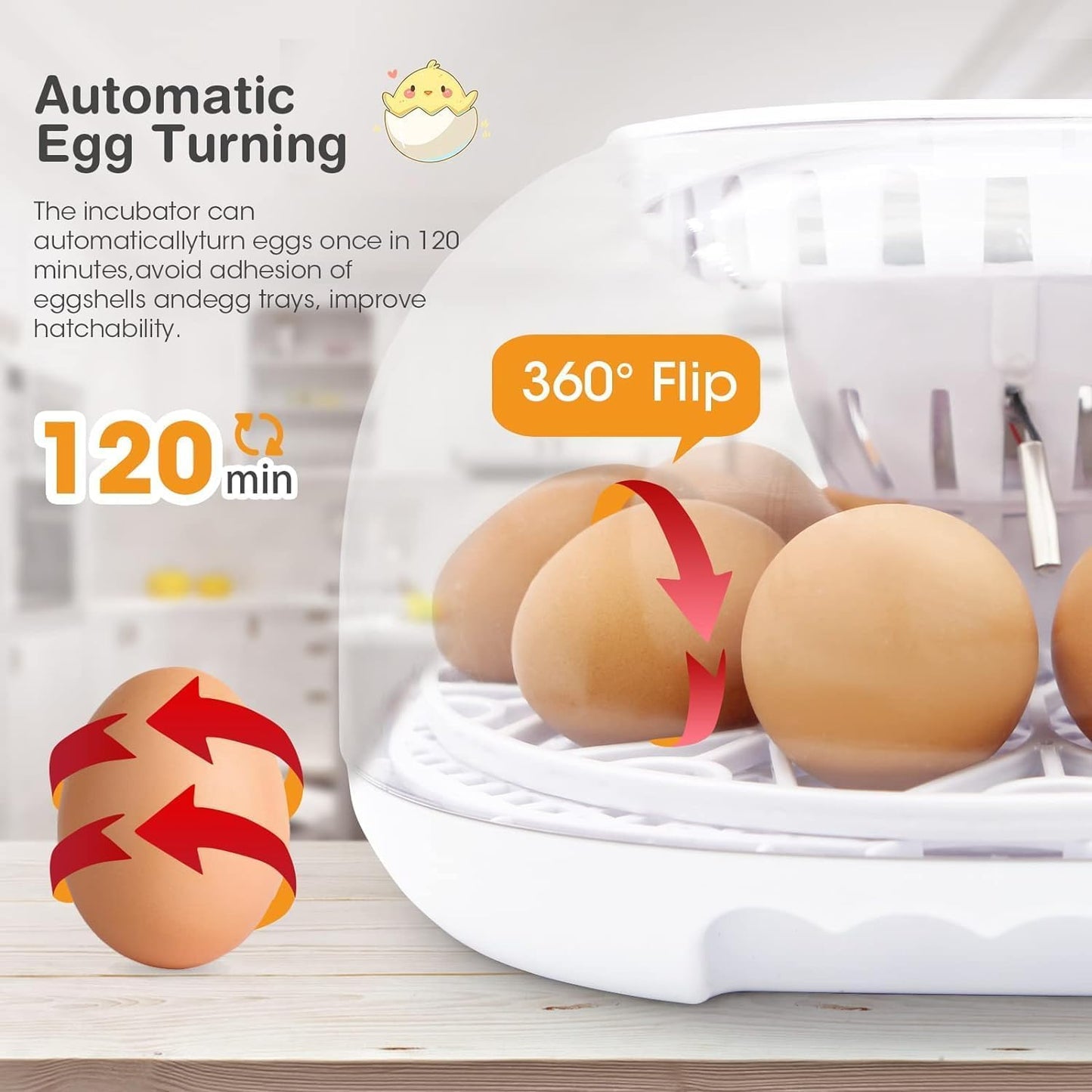 Wonegg Digitaler Inkubator für 12 Eier, Automatische Temperatur- und Luftfeuchtigkeitskontrolle