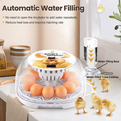 Wonegg Digitaler Inkubator für 12 Eier, Automatische Temperatur- und Luftfeuchtigkeitskontrolle