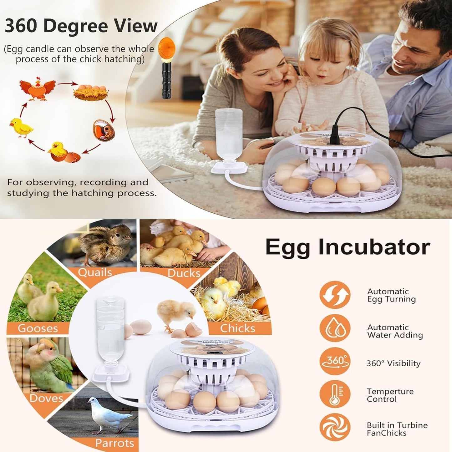 Wonegg Digitaler Inkubator für 12 Eier, Automatische Temperatur- und Luftfeuchtigkeitskontrolle