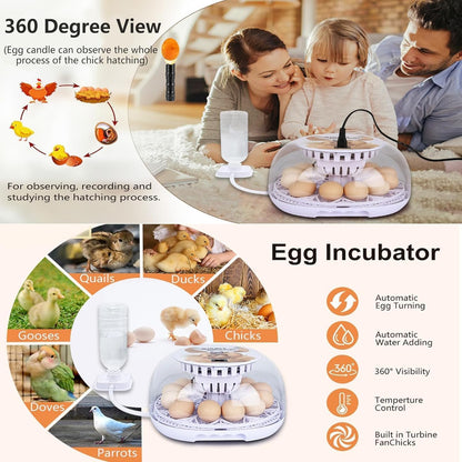 Wonegg Digitaler Inkubator für 12 Eier, Automatische Temperatur- und Luftfeuchtigkeitskontrolle