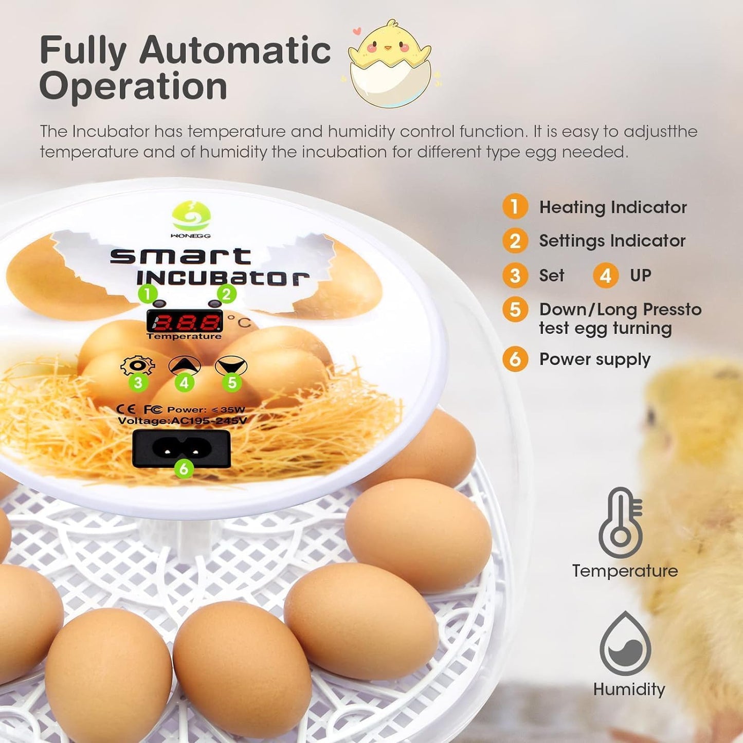 Wonegg Digitaler Inkubator für 12 Eier, Automatische Temperatur- und Luftfeuchtigkeitskontrolle