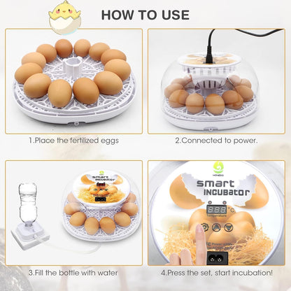 Wonegg Digitaler Inkubator für 12 Eier, Automatische Temperatur- und Luftfeuchtigkeitskontrolle