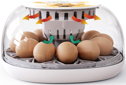 Wonegg Digitaler Inkubator für 12 Eier, Automatische Temperatur- und Luftfeuchtigkeitskontrolle