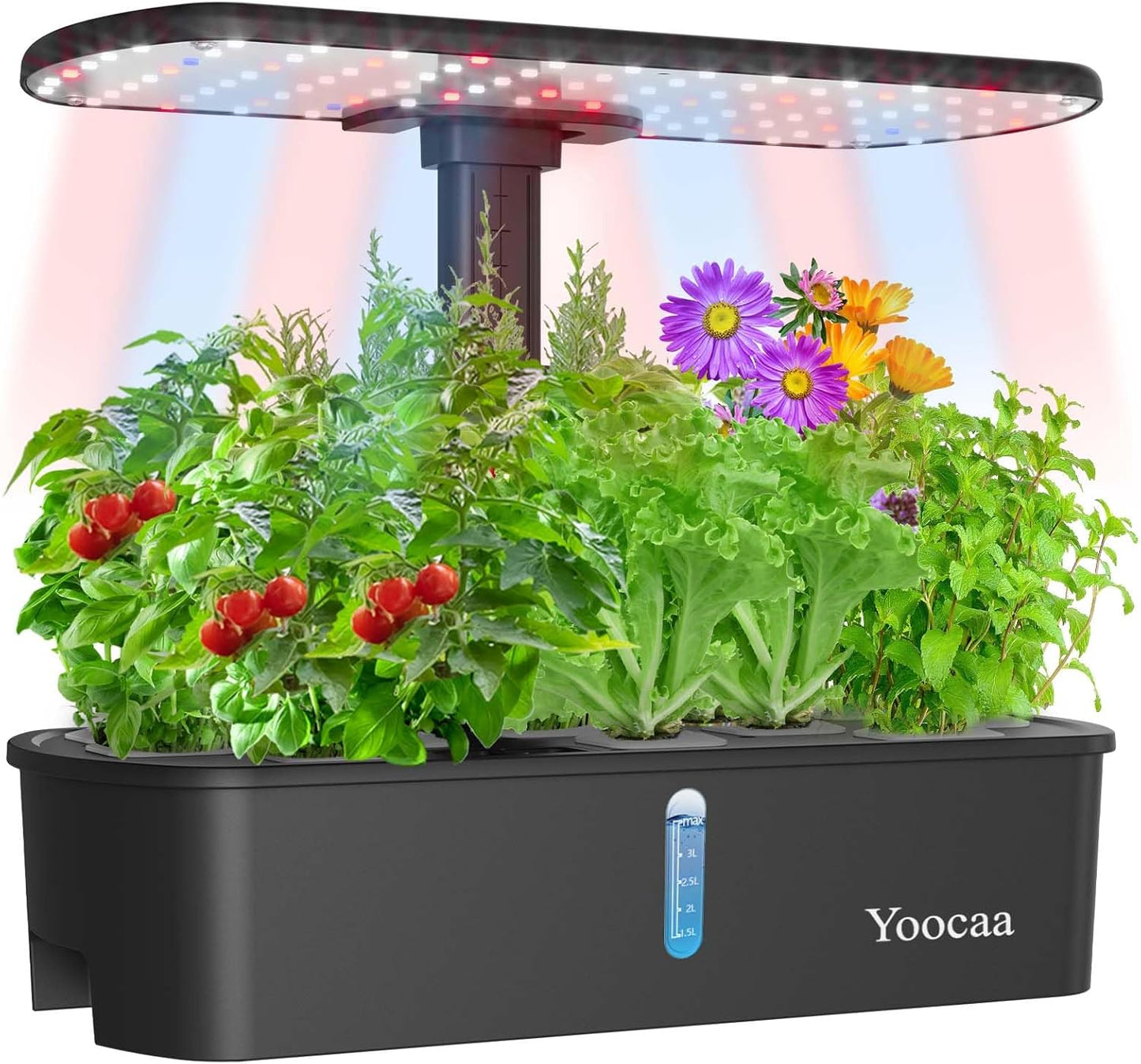 Yoocaa Hydroponisches Anzuchtsystem für 12 Pflanzen Indoor-Kräutergarten mit Timer