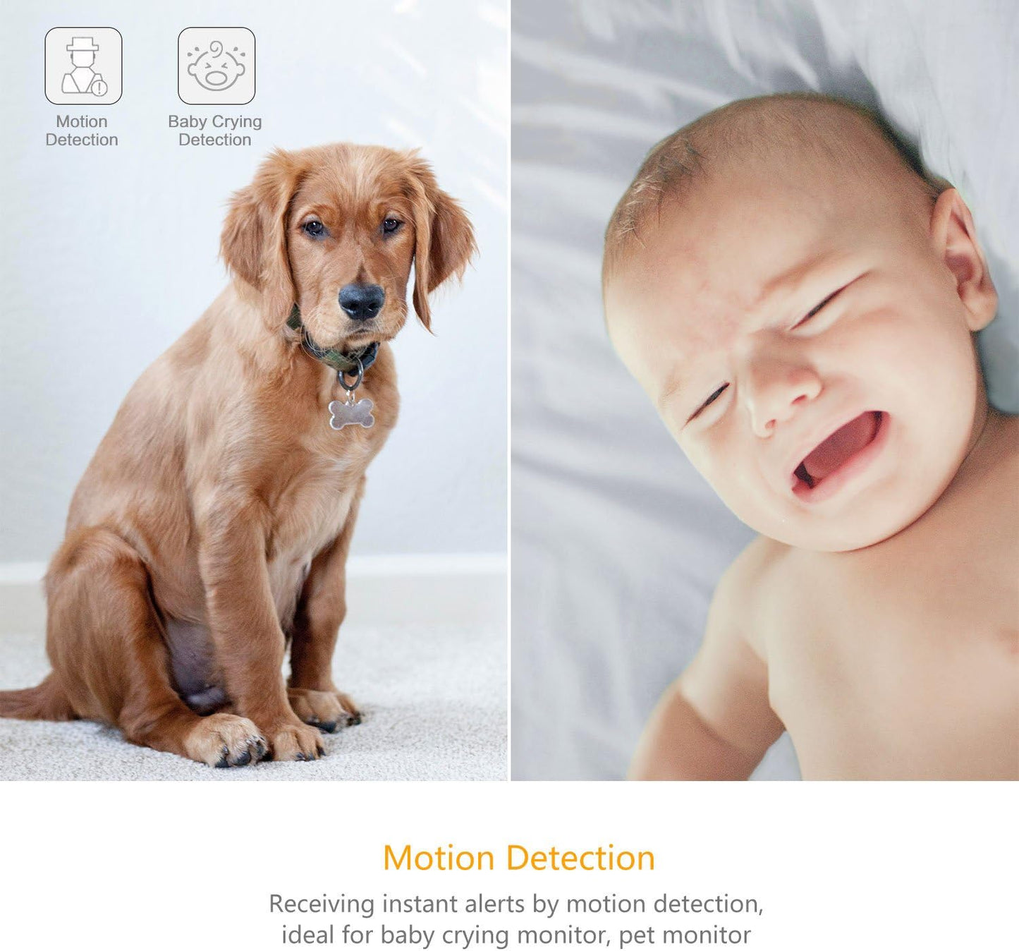 YI 2-teilige Sicherheits-Heimkamera, 1080p 2,4 G WiFi Smart Indoor IP-Kamera mit Nachtsicht, 2-Wege-Audio, KI-Menschenerkennung in der Telefon-App, Kamera für Haustiere, Katzen und Hunde, Funktionen mit Alexa und Google