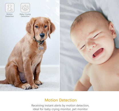 YI 2-teilige Sicherheits-Heimkamera, 1080p 2,4 G WiFi Smart Indoor IP-Kamera mit Nachtsicht, 2-Wege-Audio, KI-Menschenerkennung in der Telefon-App, Kamera für Haustiere, Katzen und Hunde, Funktionen mit Alexa und Google